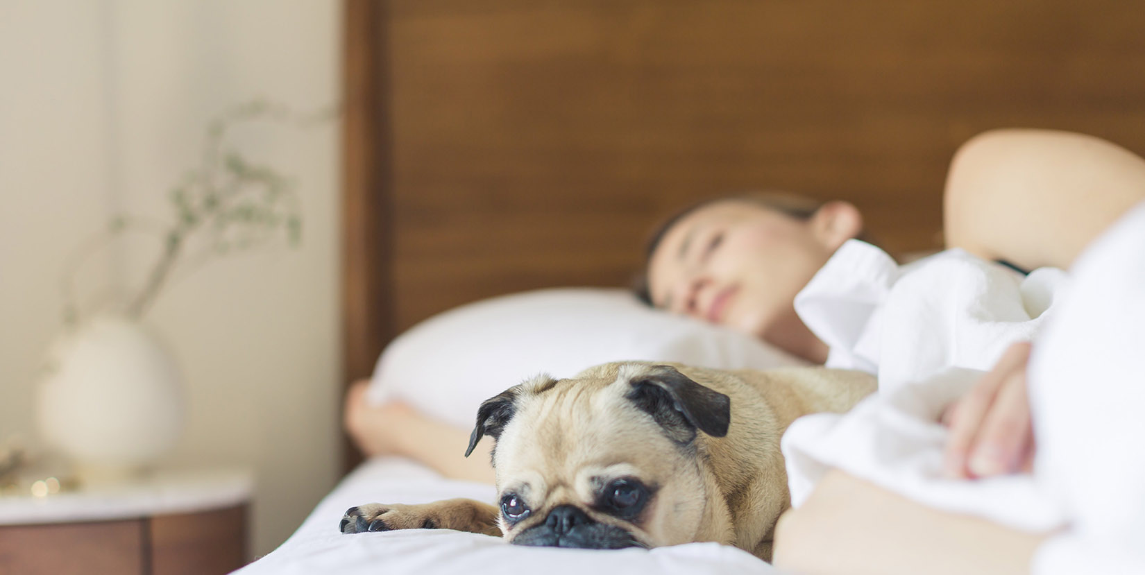 sleep habits