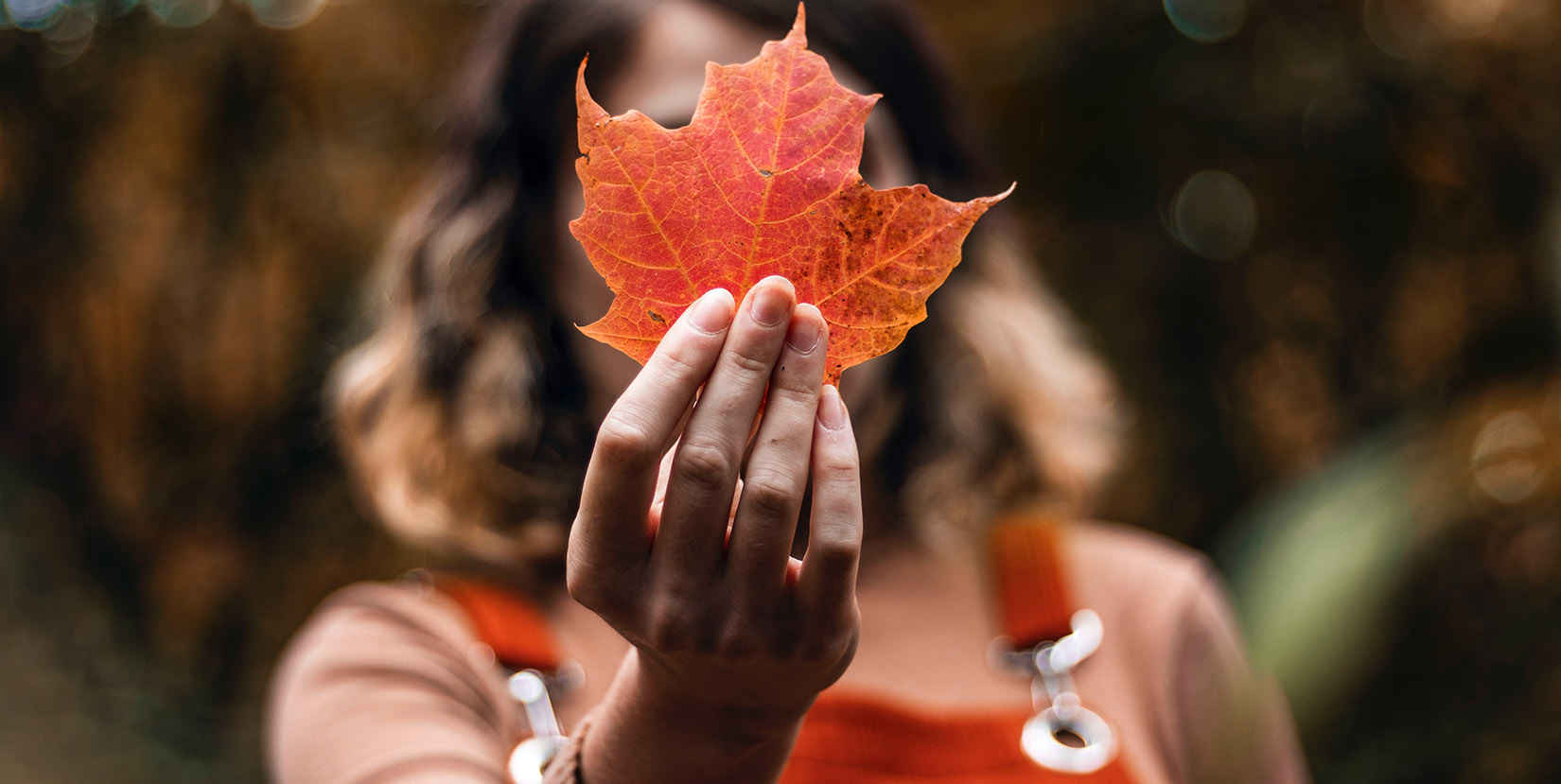 fall sinus symptoms